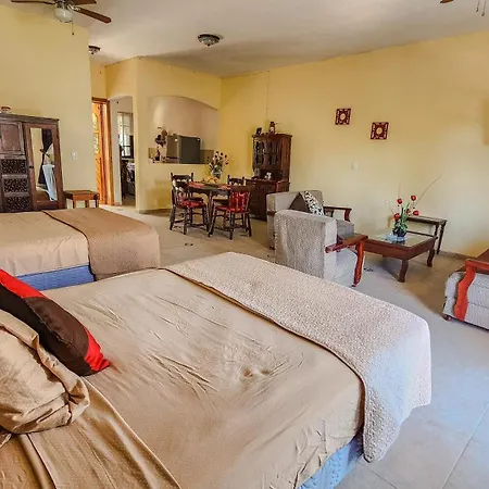 Casa Lia En El Corazon De Playa Del Carmen Apartment